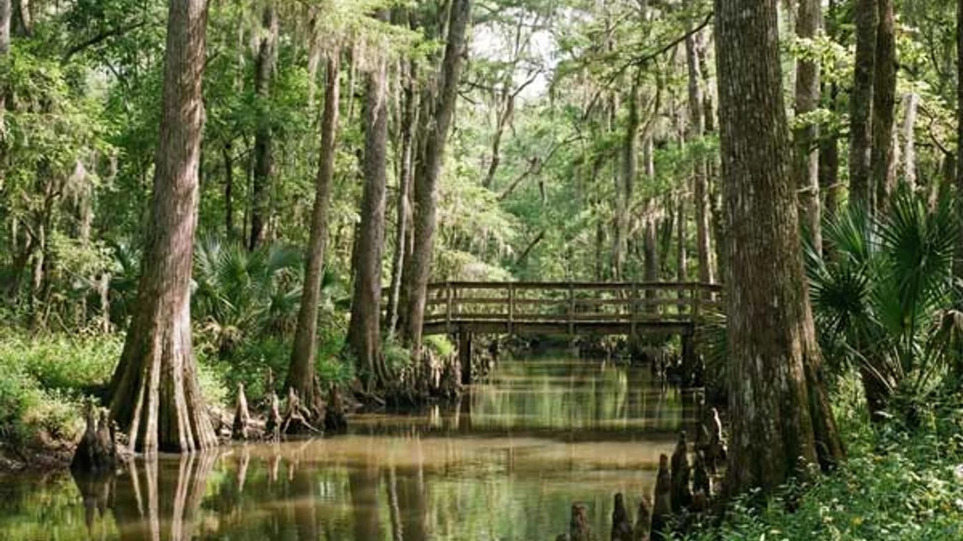 Automatic gate installation team near Bridgeland and Cypress Creek in Cypress, TX